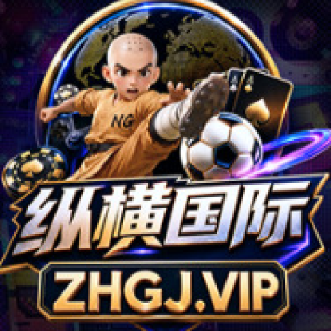 纵横国际
